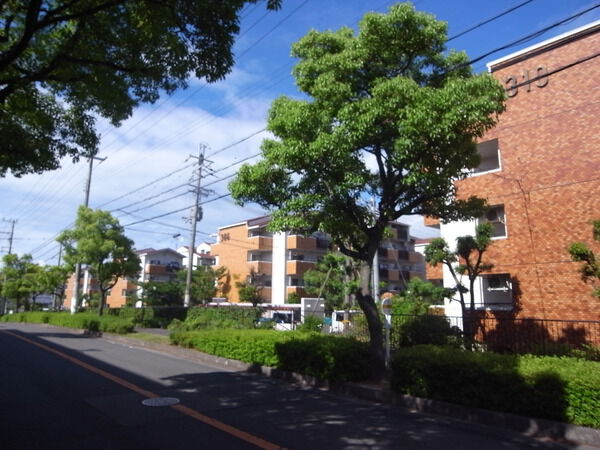 【藤沢台第１住宅】外観写真