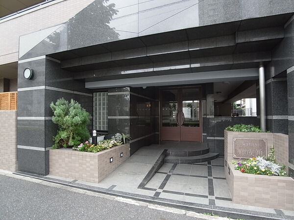 ソフィア藤成通 2枚目 ソフィア藤成通