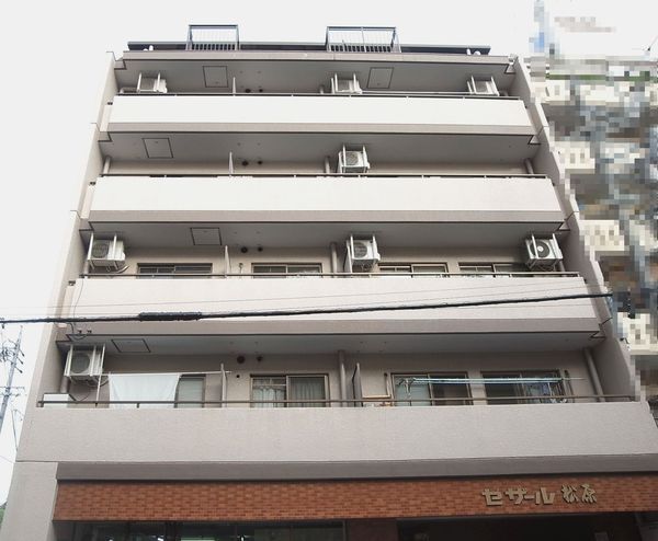 【セザール松原】外観