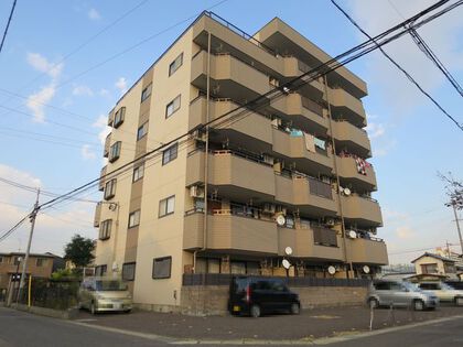 ロイヤルレインボー師勝