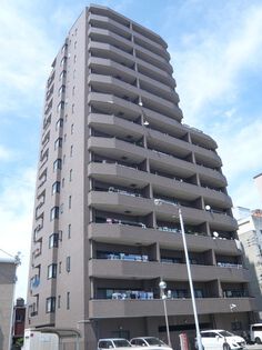 ラディアンス錦