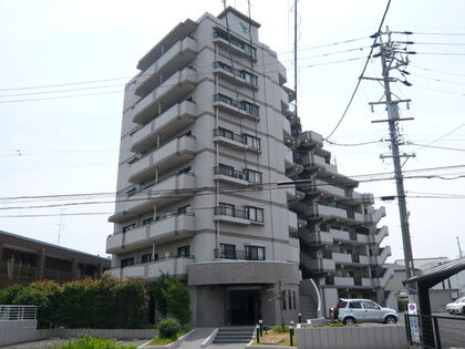 バンベール海南