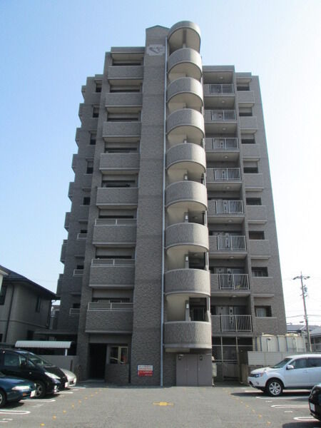 モアグレース葵
