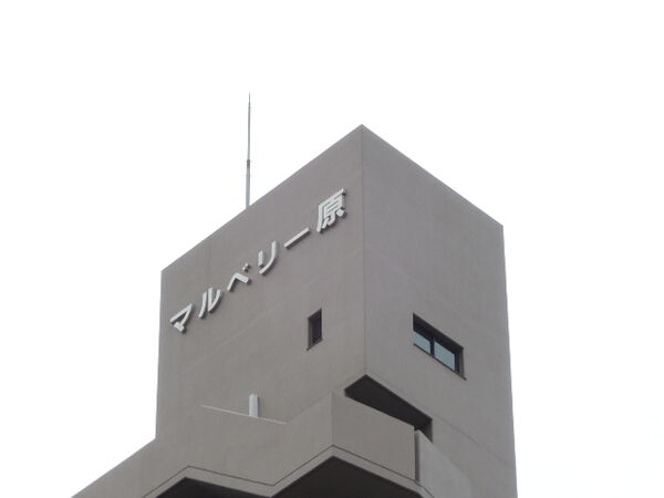 【マルベリー原】外観です。