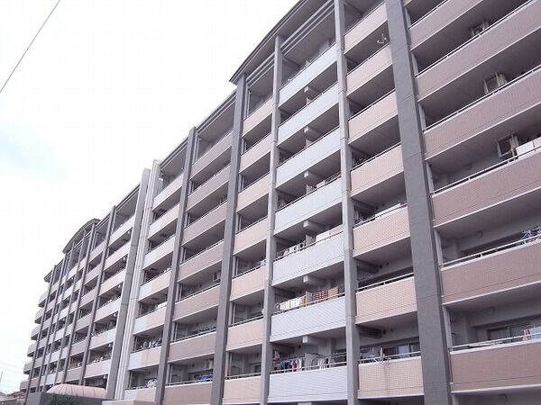 バンベール・ラフィネ道徳 2枚目 バンベール・ラフィネ道徳