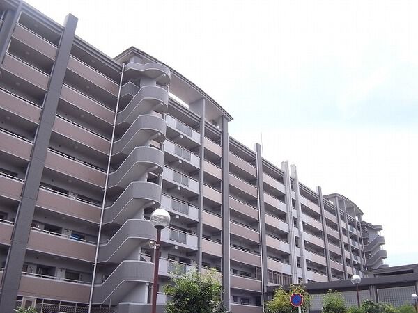 バンベール・ラフィネ道徳 3枚目 バンベール・ラフィネ道徳