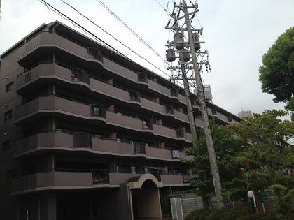 ラビデンス伝治山 8枚目 ラビデンス伝治山