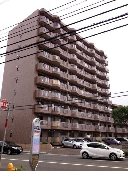 エスセーナ菊水