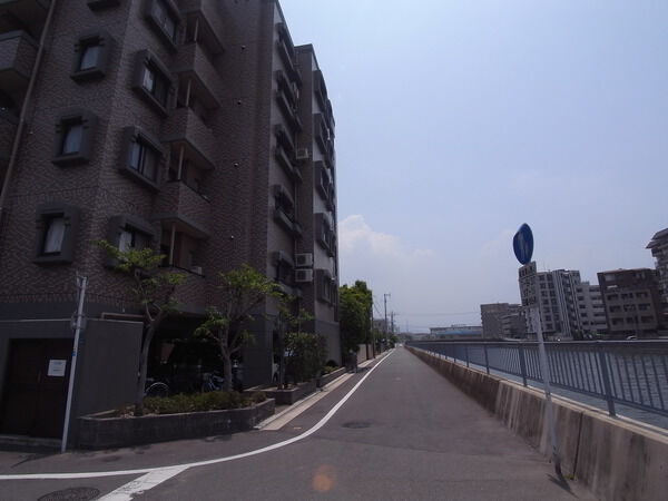 ダイナコートブロッサム藤崎