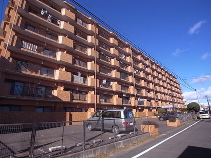 外観 外観