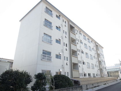 桶川ハイツ 1枚目 桶川ハイツ