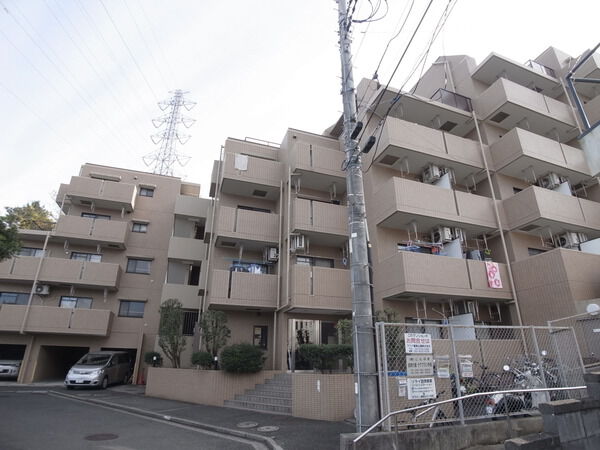 セラピー踊場