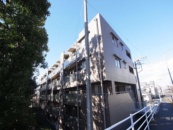 ジェームス湘南