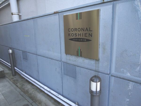 コロナール甲子園 3枚目 コロナール甲子園