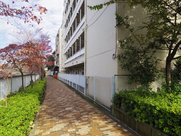 【マンション小滝橋】敷地内の様子