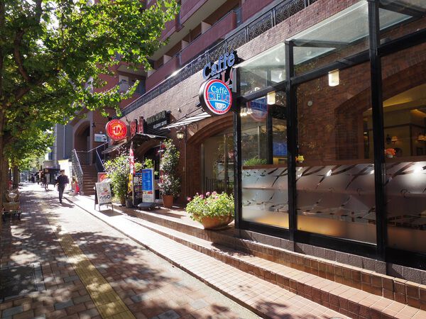 【高田馬場ダイカンプラザ】前面道路部分