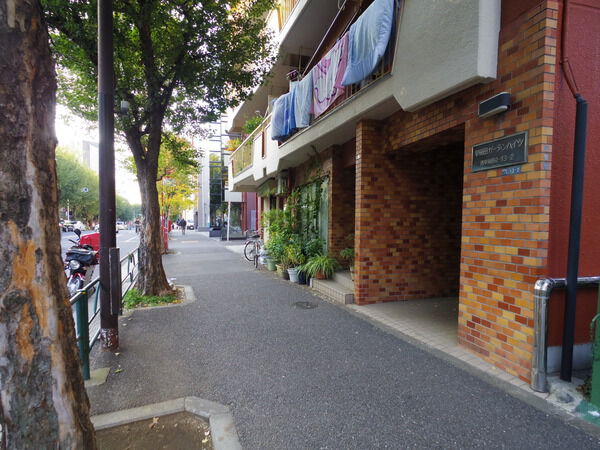 【早稲田ガーデンハイツ】前面道路