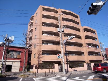 外観 外観