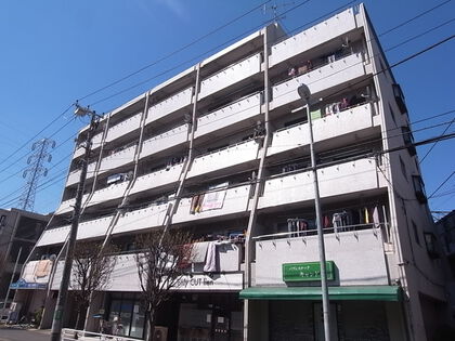 ベルハイム下並木