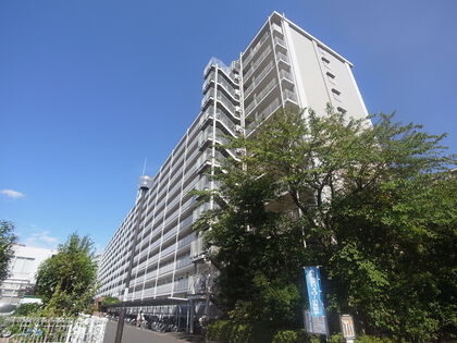 市川パークハイツ 2枚目 市川パークハイツ