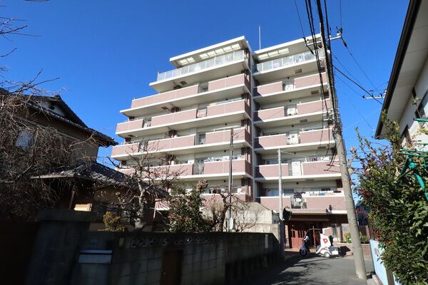 アデニウム船橋法典 2枚目 アデニウム船橋法典