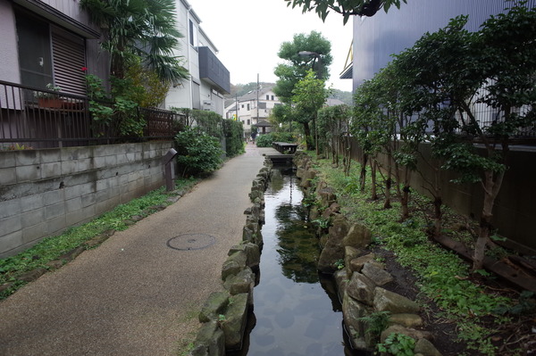 【パシフィックパレス東寺尾】敷地横の通路 【パシフィックパレス東寺尾】敷地横の通路