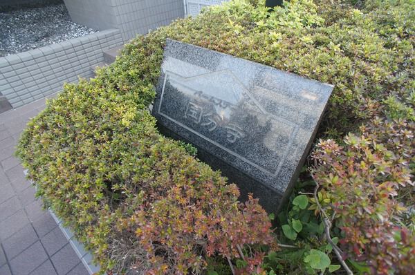 バームステージ国分寺 2枚目 バームステージ国分寺