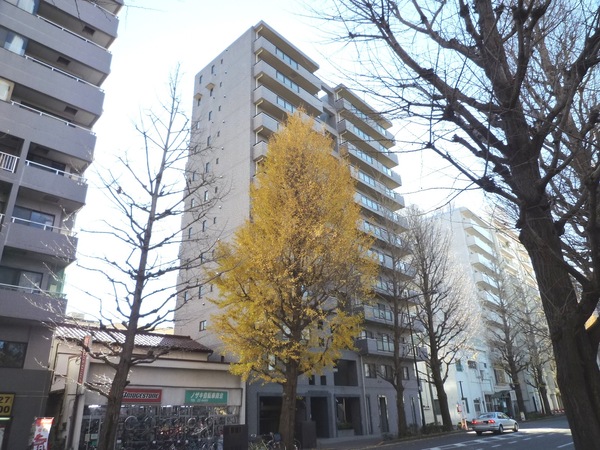 ゼファー西八王子