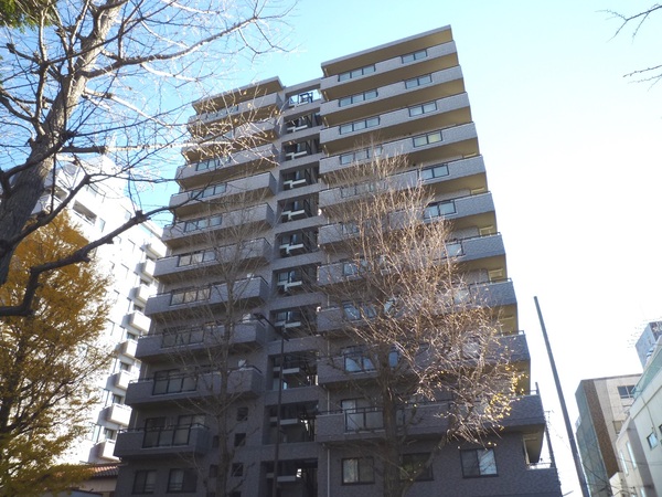 ゼファー西八王子