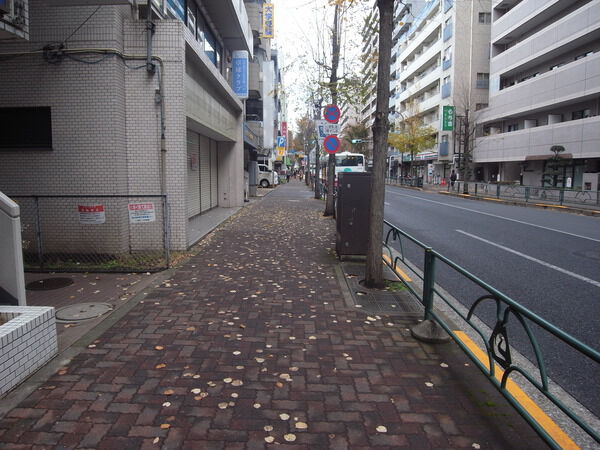 【アルカス三鷹】前面道路 【アルカス三鷹】前面道路