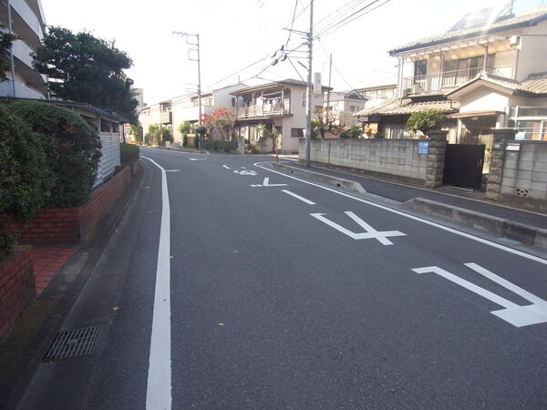 【戸田パークハイツ】前面道路