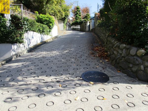 【ウインベルコーラス新杉田】前面道路