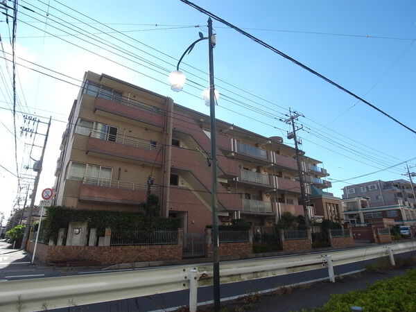 エクセレント柏