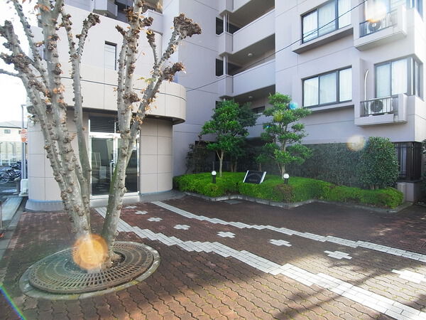 【コスモ柏セランス】エントランス 【コスモ柏セランス】エントランス