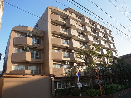 外観 外観