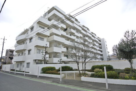 外観 外観