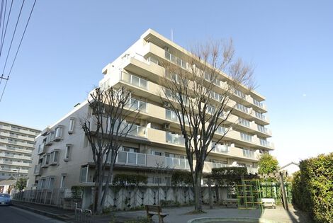 外観 外観