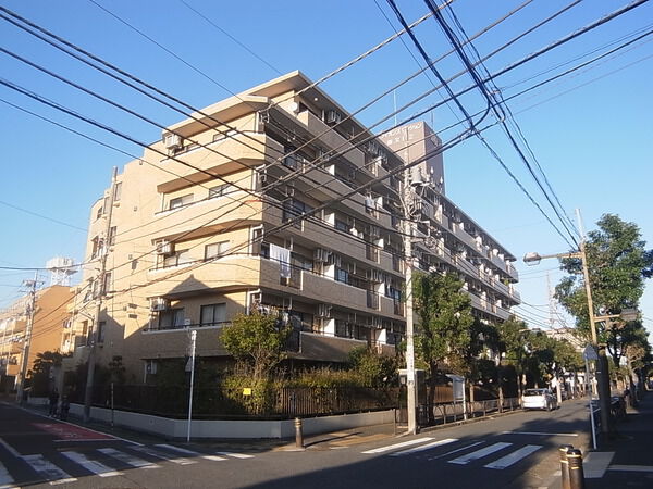 【ライオンズマンション柴又】外観写真 【ライオンズマンション柴又】外観写真