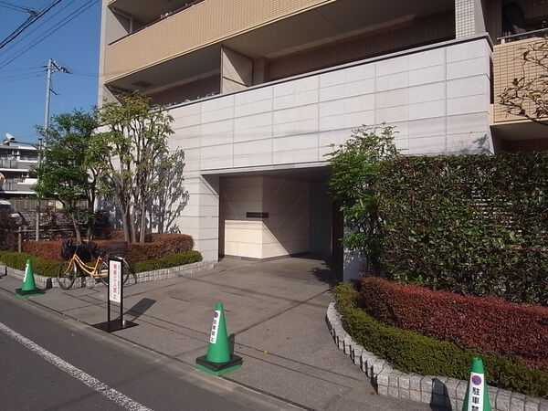 コスモハイセレサグラシエ