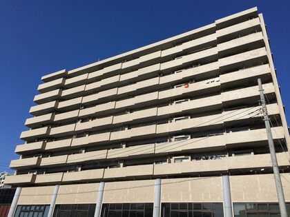 外観 外観