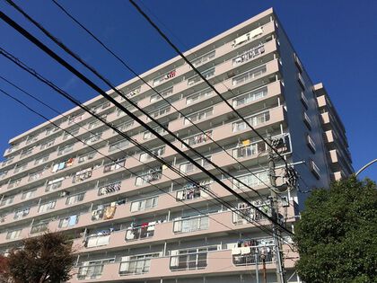 外観 外観