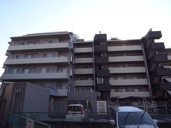 アデニウム越谷