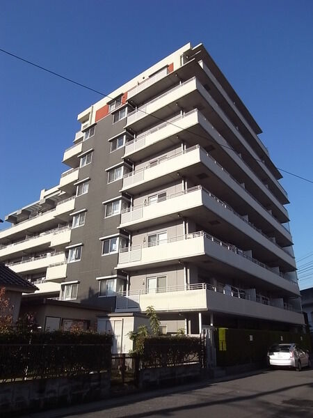 アデニウム越谷