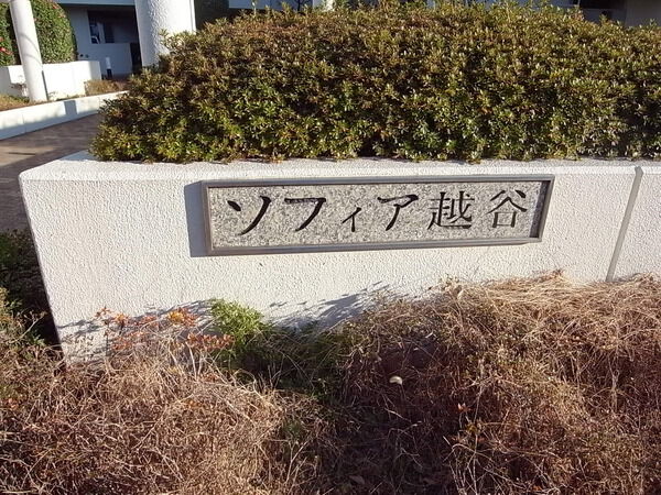 ソフィア越谷 3枚目 ソフィア越谷