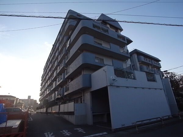 【新成増ハイツ】外観写真 【新成増ハイツ】外観写真