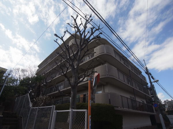 【成増ハイライズ】外観 【成増ハイライズ】外観