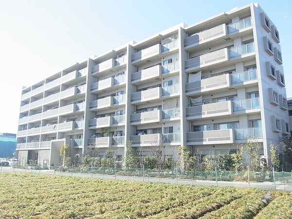 【エコヴィレッジ朝霞中央公園】外観写真 【エコヴィレッジ朝霞中央公園】外観写真