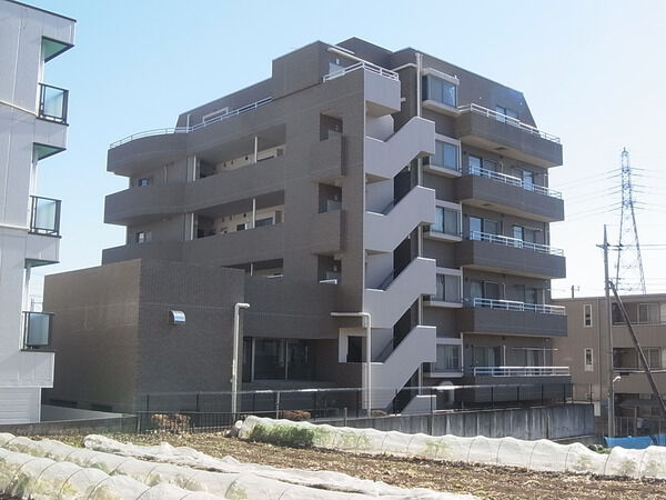 【ソシアルセイワ朝霞】外観写真 【ソシアルセイワ朝霞】外観写真