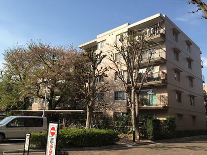 外観 外観