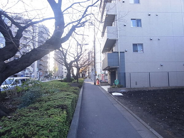【スカイコートヌーベル中村橋】前面道路